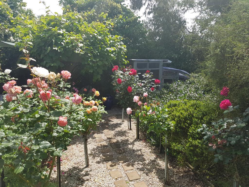 Olde Mill House B&B & Bike2Wine Cycle Hire Renwick Bagian luar foto
