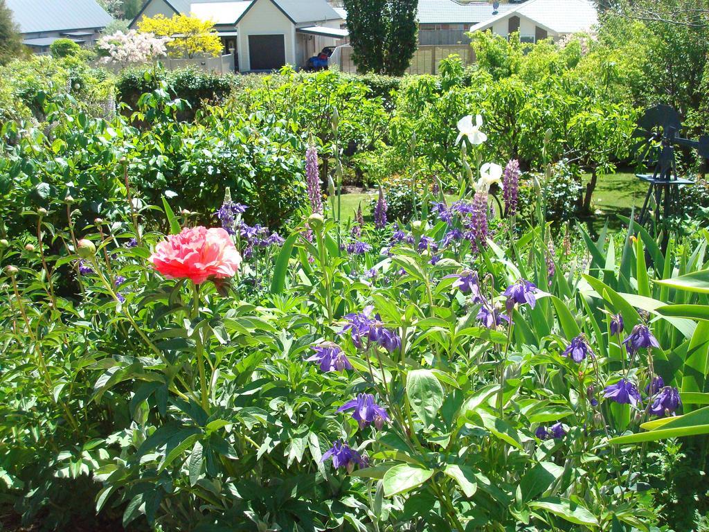 Olde Mill House B&B & Bike2Wine Cycle Hire Renwick Bagian luar foto