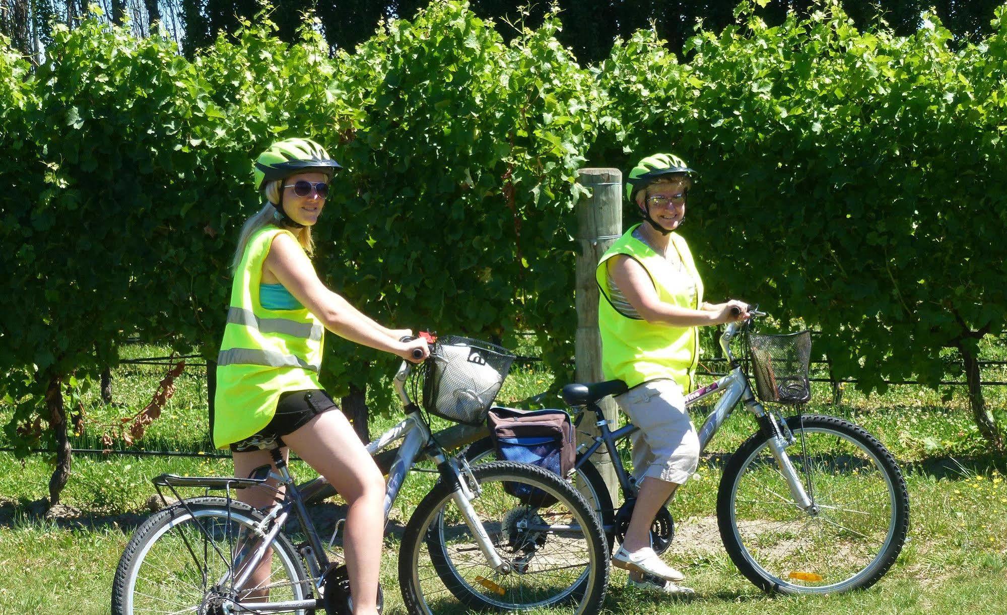 Olde Mill House B&B & Bike2Wine Cycle Hire Renwick Bagian luar foto