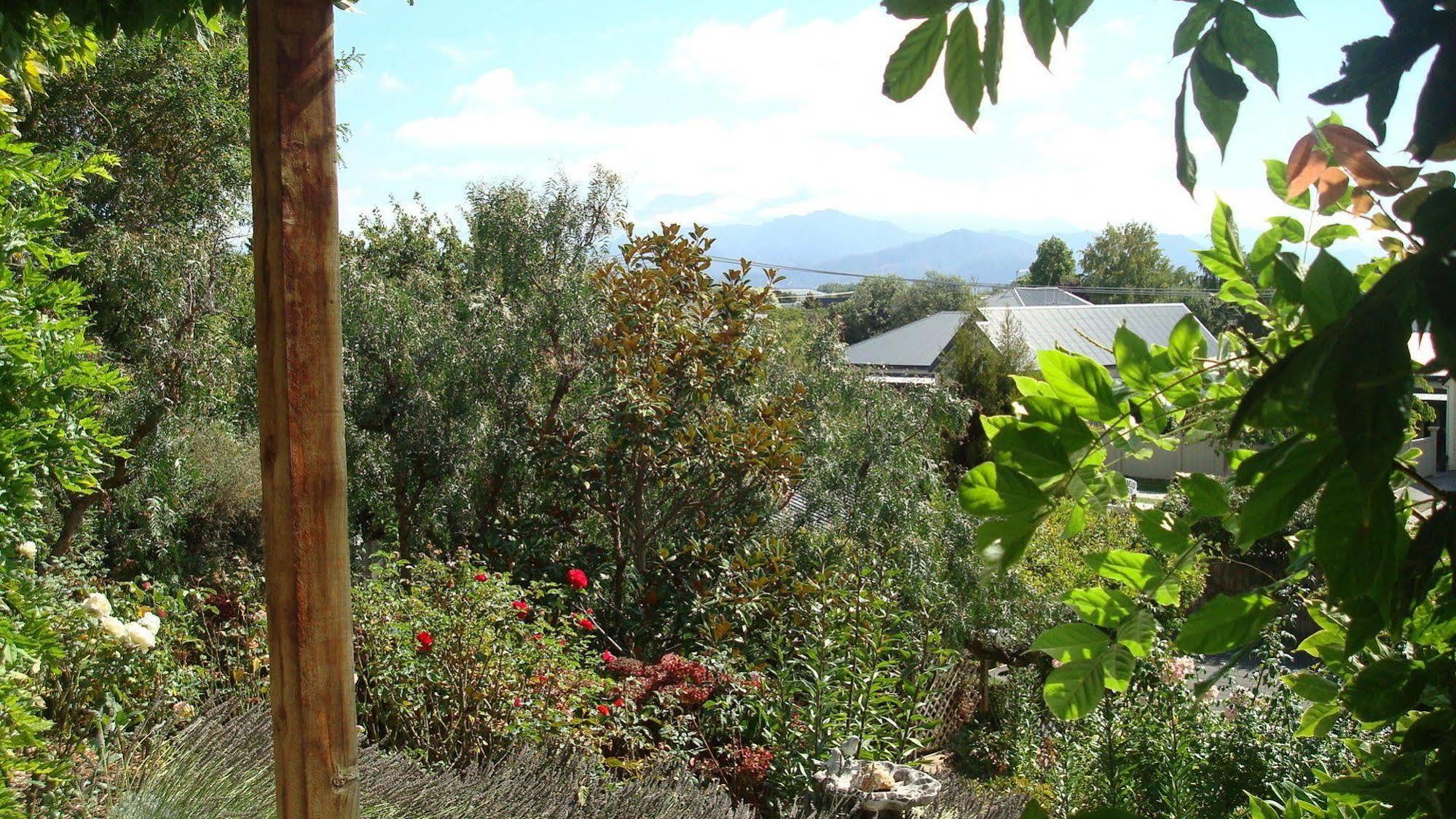 Olde Mill House B&B & Bike2Wine Cycle Hire Renwick Bagian luar foto