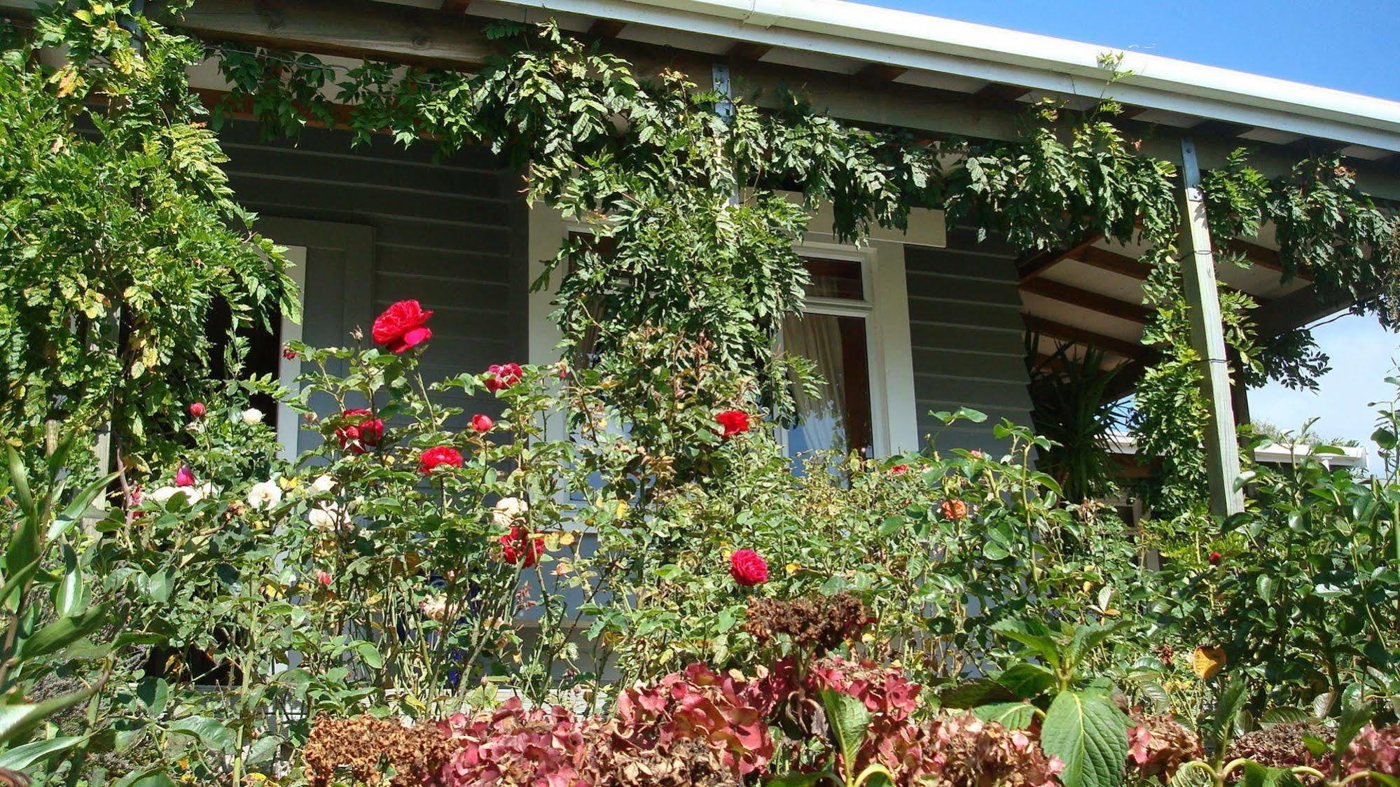 Olde Mill House B&B & Bike2Wine Cycle Hire Renwick Bagian luar foto